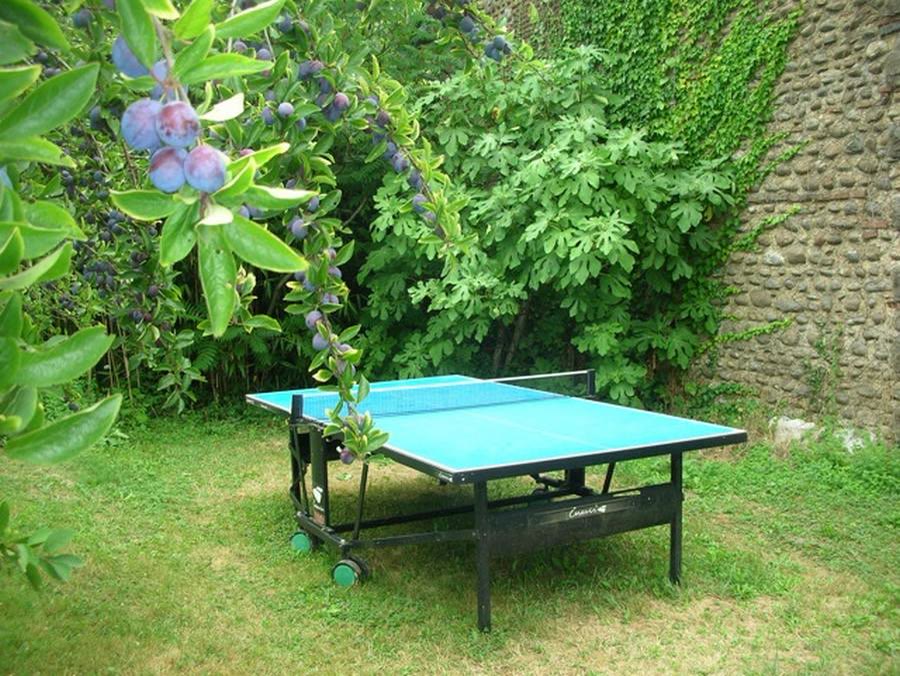 Coin détente ombragé, mur végétalisé et arbres fruitiers