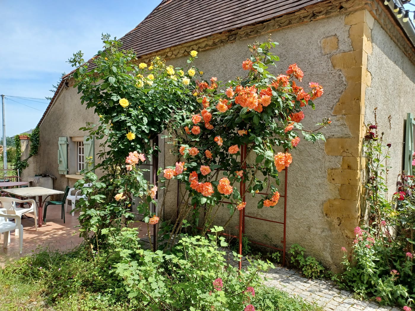 Longère béarnaise en pierre avec rosier grimpant et terrasse entretenue
